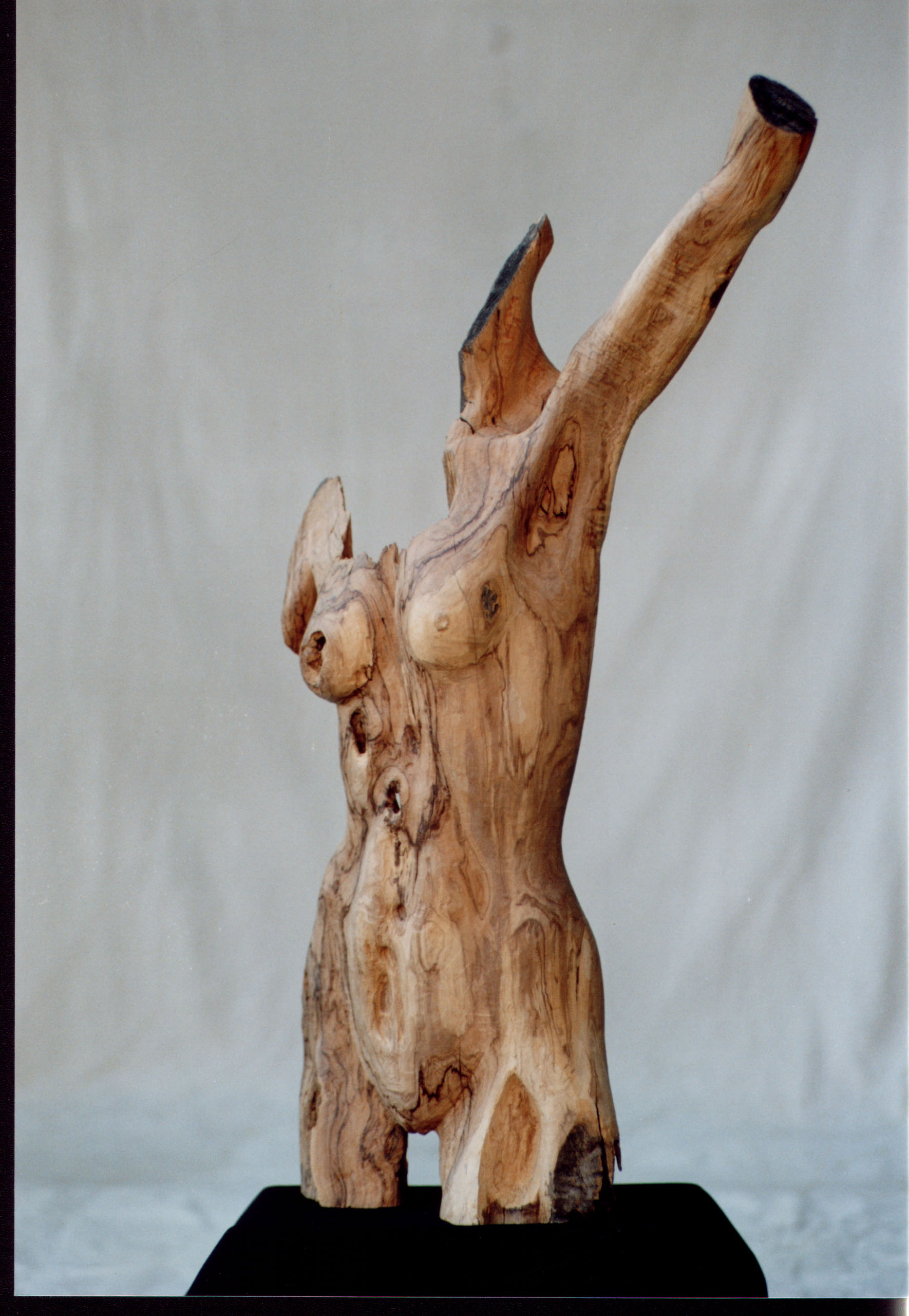 Busto femminile scolpito in legno